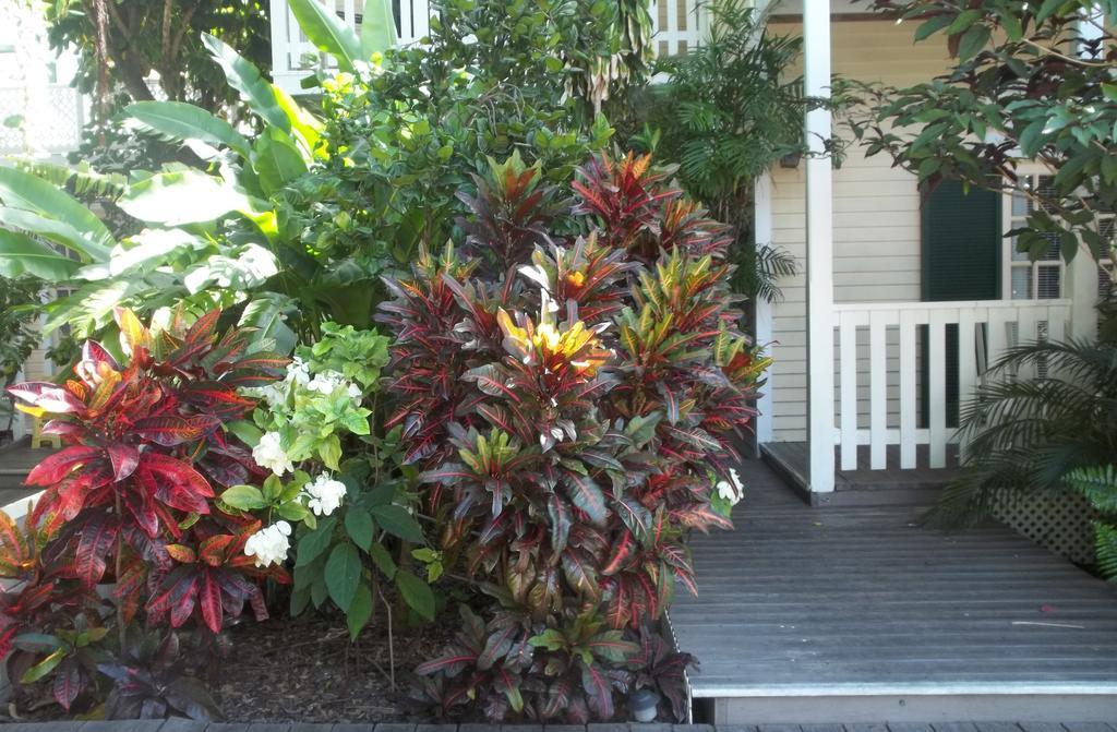 Duval House Bed & Breakfast Key West Bagian luar foto